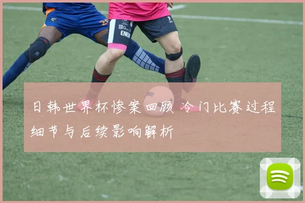 日韩世界杯惨案回顾 冷门比赛过程细节与后续影响解析