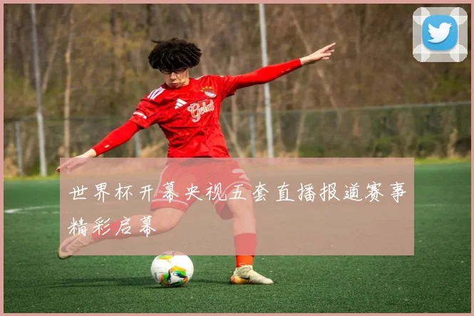 世界杯开幕央视五套直播报道赛事精彩启幕