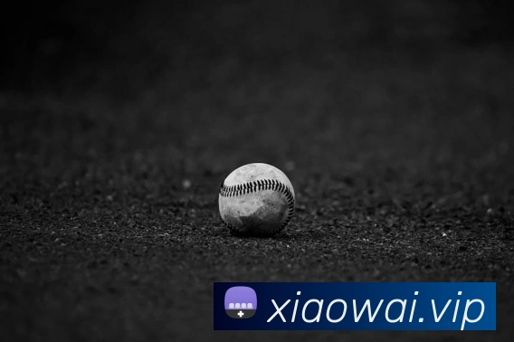 kaiyun官方登录入口APP 封面图